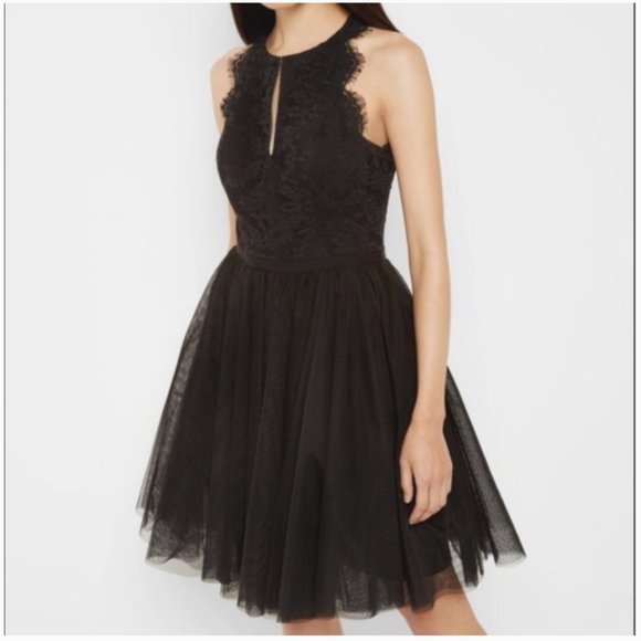 Ted Baker Dresses & Skirts - Ted Baker Pitara open back lace tulle dress 3 nwot